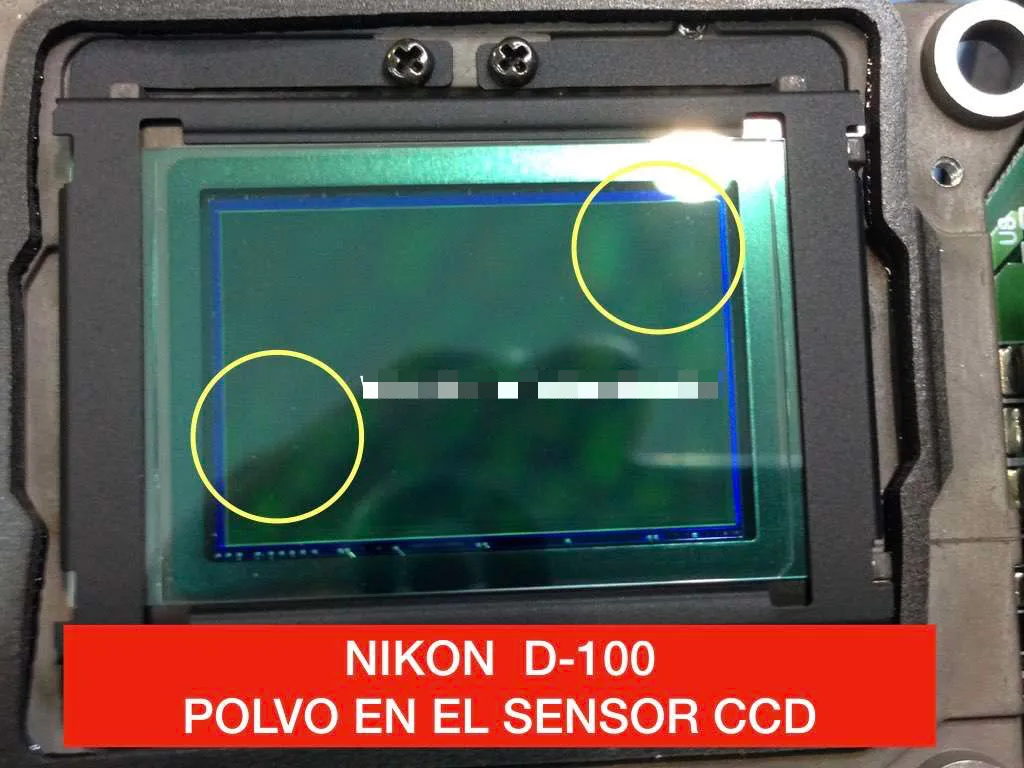 sensor ccd nikon sucio con polvo
